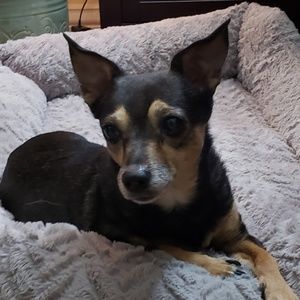 Meet your Posher, Marlina